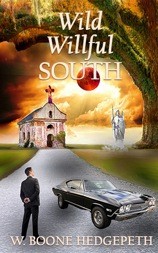 Wild Willful South book cover